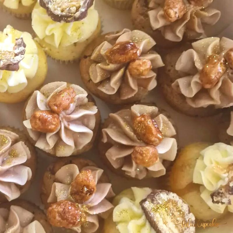 Cupcake Pralines  à partir de