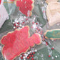 Coffret de Biscuits de Noël/ Calendrier de l'Avent