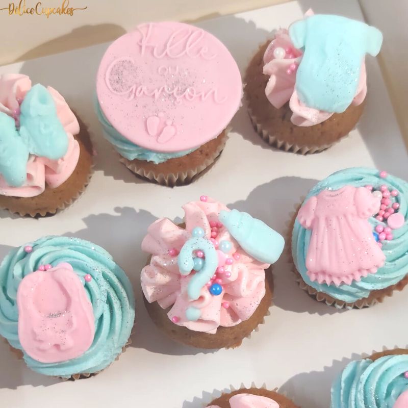 Cadeau naissance fille duo bodies cupcakes fuchsia - Babys Cakes e-Boutique